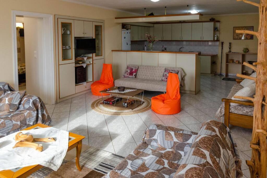 Dimitri'S Mountain House Apartment Karpenisi Exterior photo